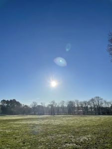 Picture of the Sun with blue skies and green grass