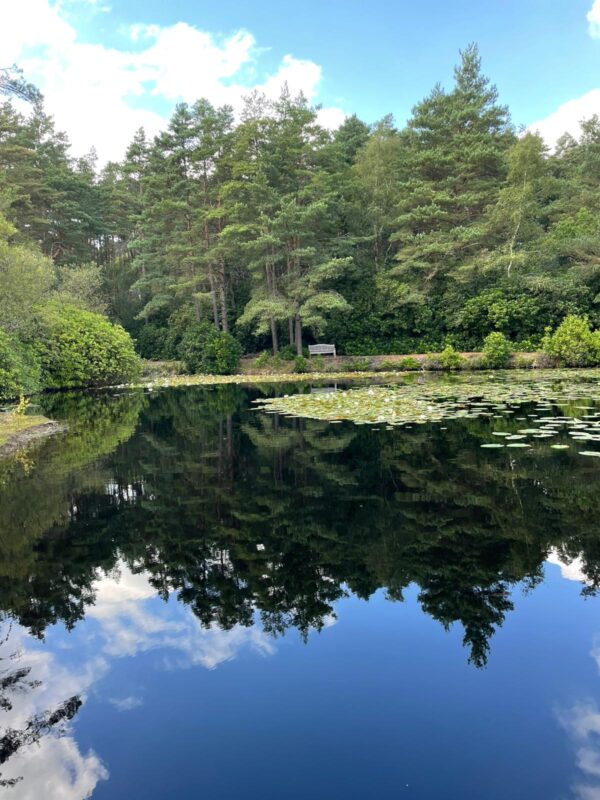 Retreat in Nature - Image 3